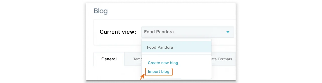 Import Blog option