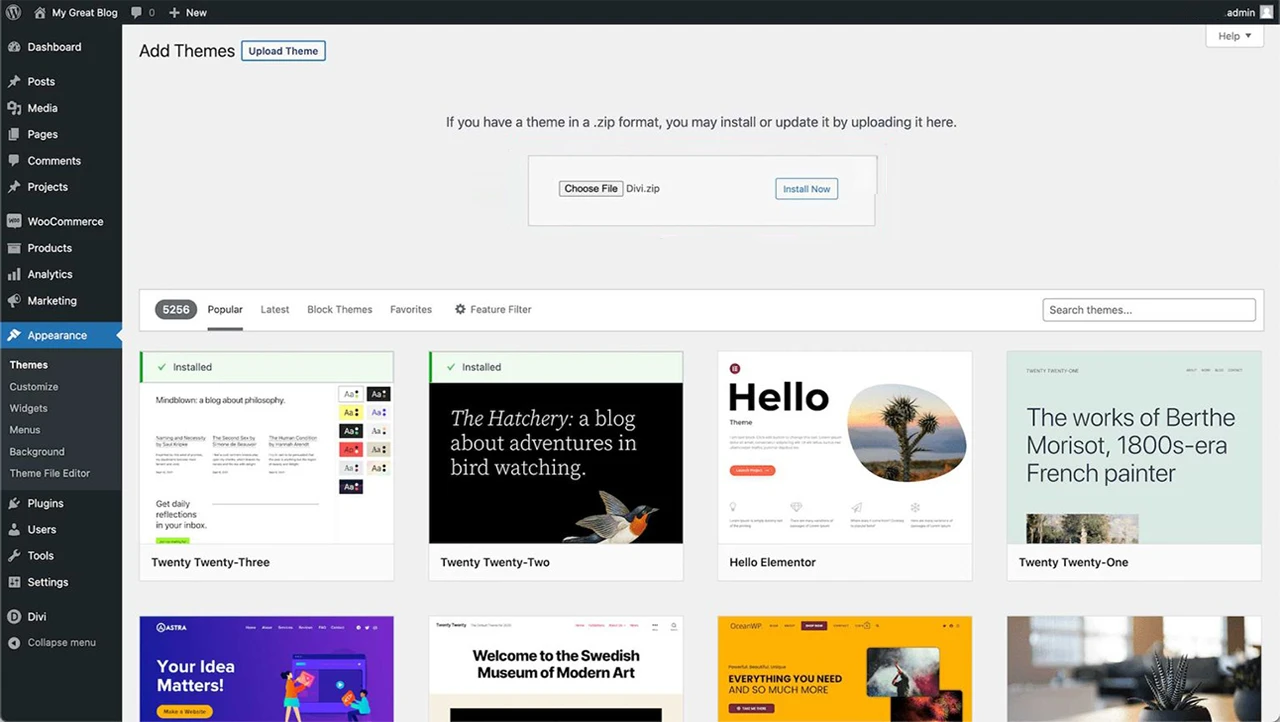 installation-of-divi