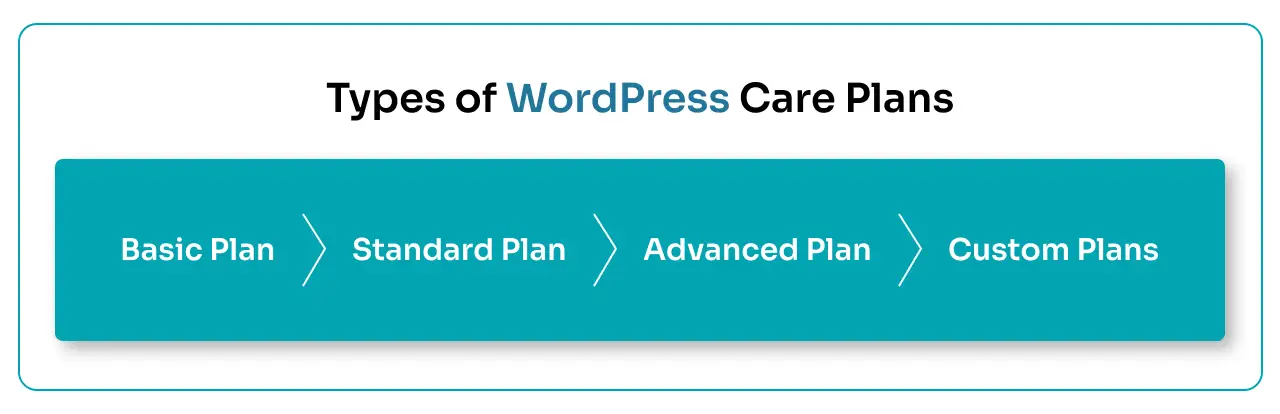Types of WordPress Care Plans
