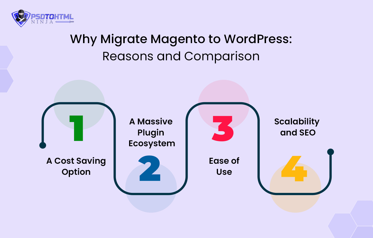 Migrate Magento to WordPress: Reasons and Comparison